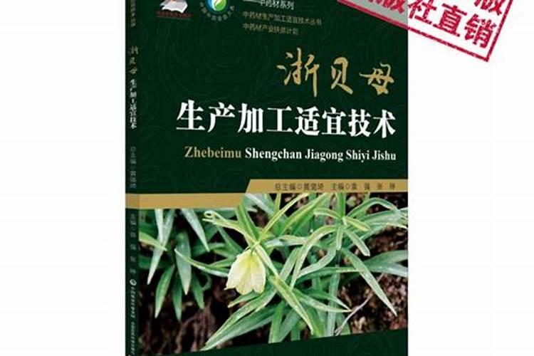 揭秘浙贝的规范化栽培技术：从种植到收获的全过程