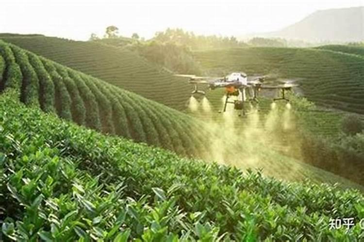 绿色守护：生物农药的益处与正确使用指南