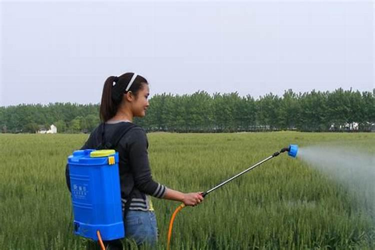 绿色守护：生物农药的益处与正确使用指南