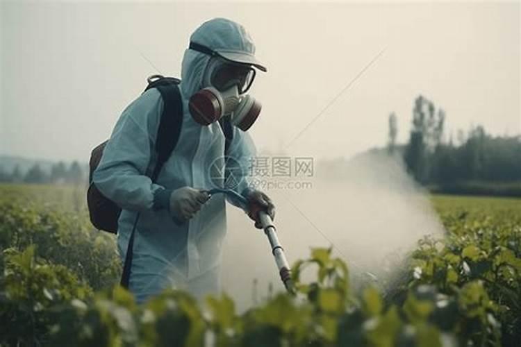 低毒农药：多喷未必安全？