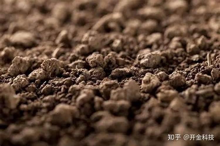 巧妙鉴别土壤肥沃还是贫瘠？