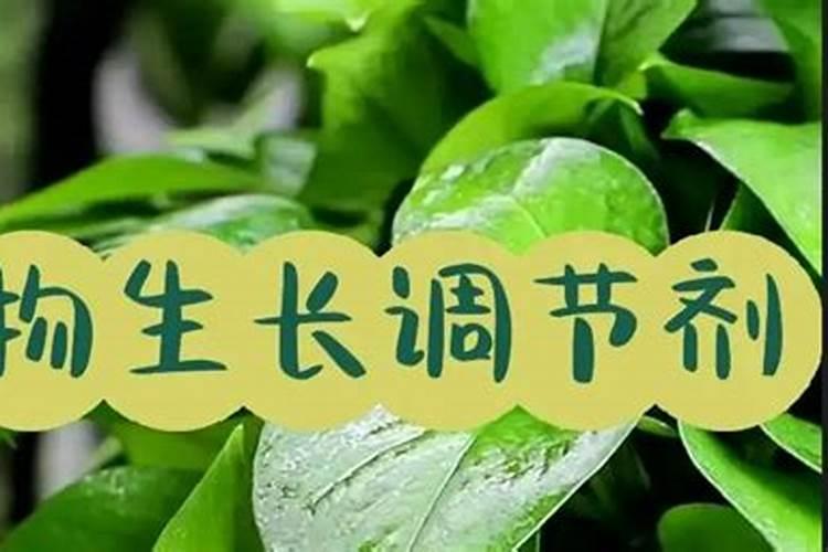 农业三宝：化肥、农药、植物生长调节剂混搭的智慧与禁忌？