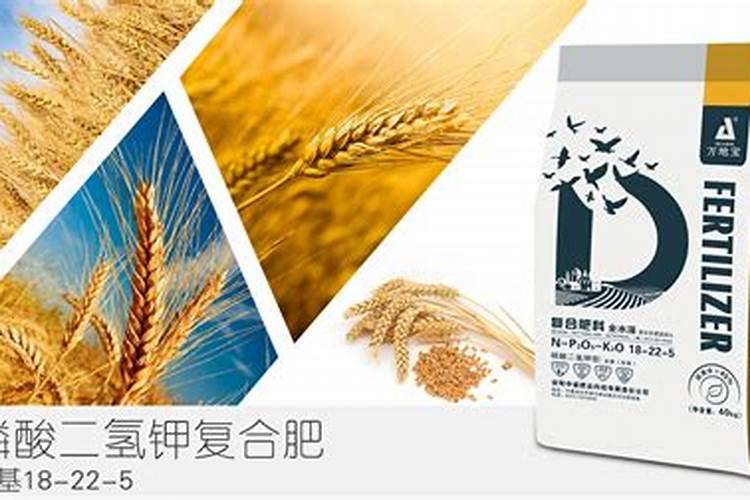 早春小麦怎样才能不让其受冻害？