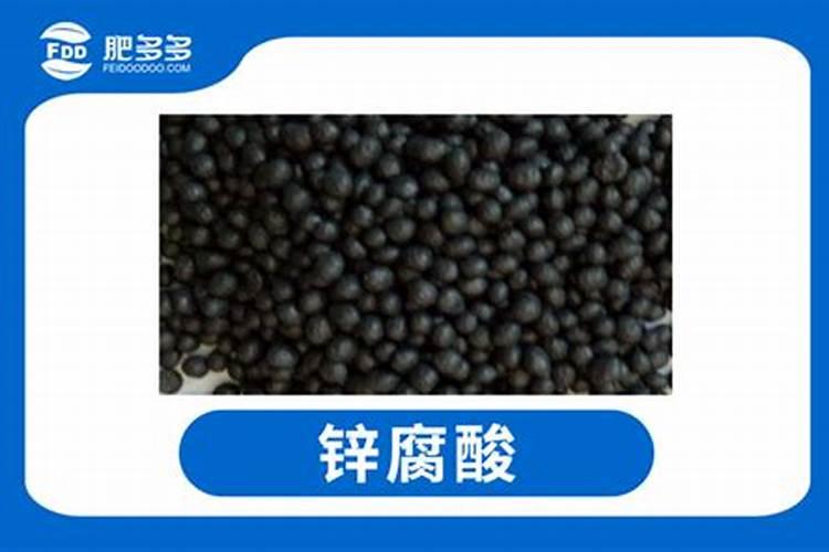 夹豆需要用氮肥吗为什么？