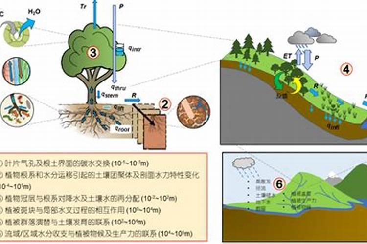 四季之歌：旱季与雨季中的水肥管理智慧