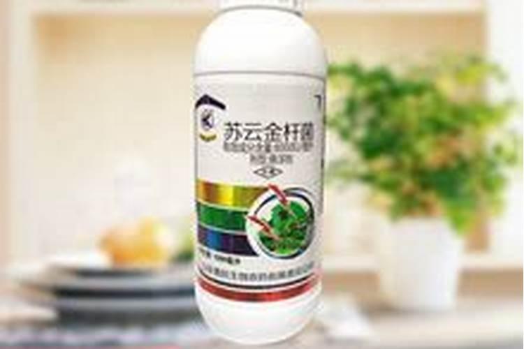 探秘生物农药的内吸性：绿色植保的未来