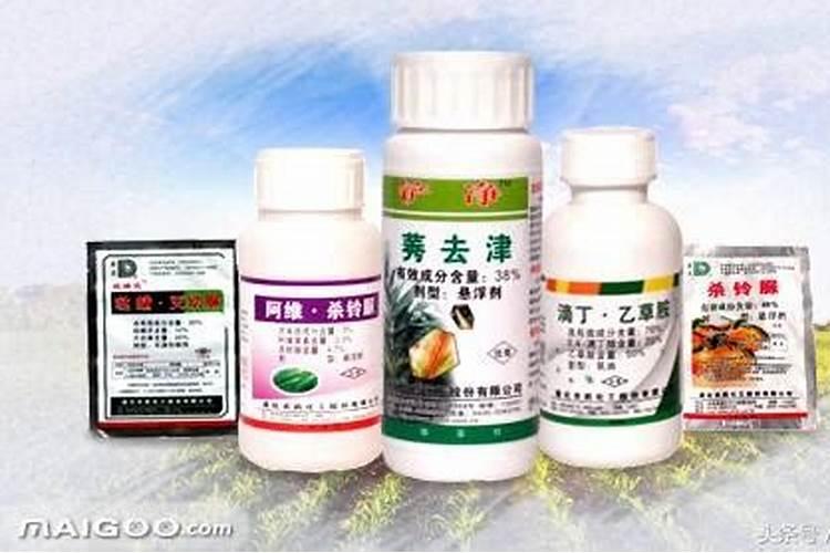 警惕！果园中的致命组合——揭秘不可混用的农药
