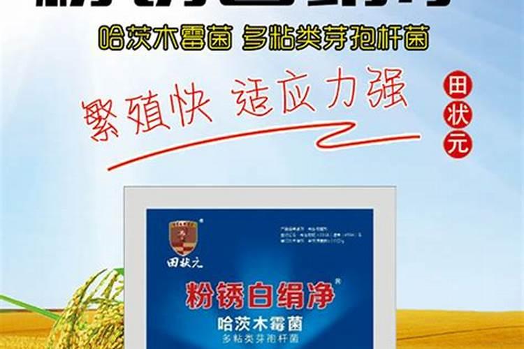 根据不同害虫如何选用合适的玉米杀虫剂？