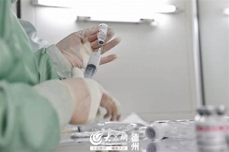 守护绿意盎然：施用园林农药的六大注意事项