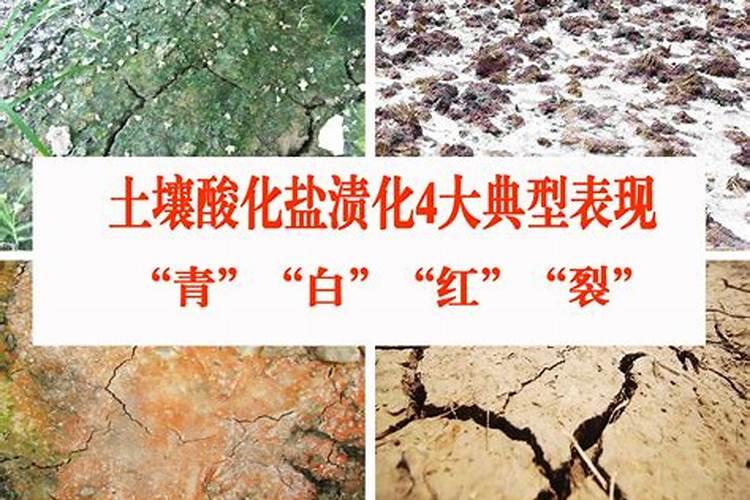 土壤盐渍化，土壤盐渍化的原因