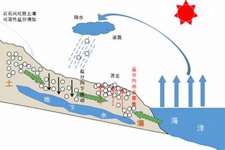 土壤盐渍化，土壤盐渍化的原因
