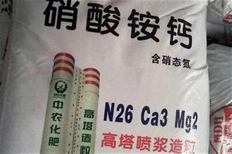 酰胺态氮肥有哪些？