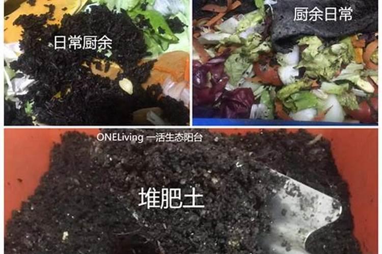 蚯蚓肥和海藻肥哪种好用？