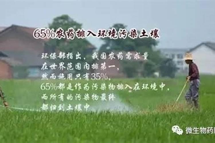 绿色田野的守护者：综合防治降低农药残留