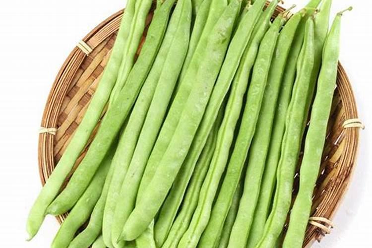 守护食用菌的绿色长城：病虫害防治策略解析