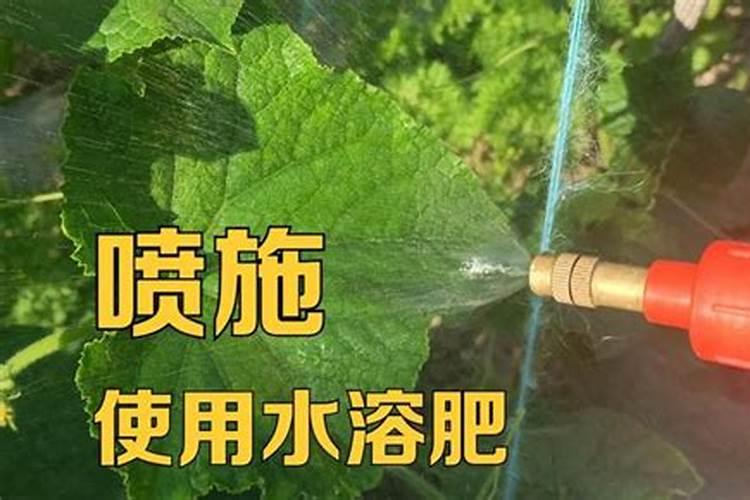 5公斤水溶肥兑多少水喷雾合适？