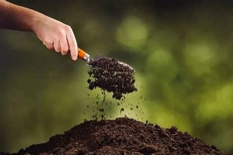 土壤的黄金伙伴：掌握生物有机肥的正确施用之道