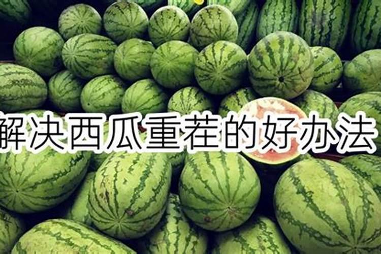 西瓜重茬问题如何解决？