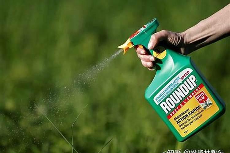 草甘膦除草剂除草效果不一的原因？