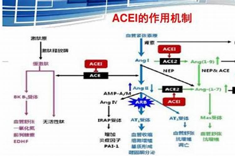 科学施药五项注意事项：确保用药安全与疗效的关键