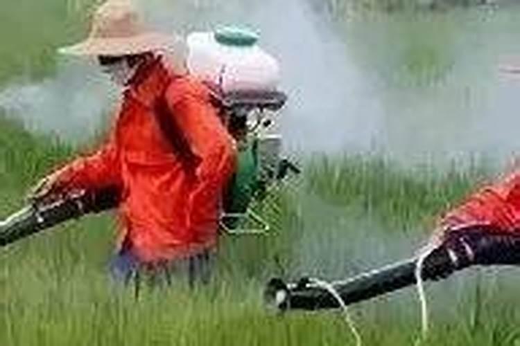 田间智慧：农药混用的原则与实践