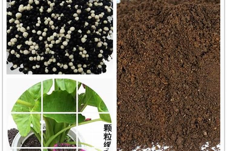 化肥与有机肥混用有哪些好处？