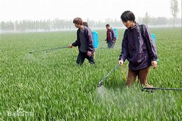 夏季农药存储：确保安全与效能的关键步骤