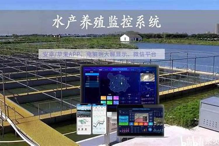 智慧养殖：水产用药需注意事项详解
