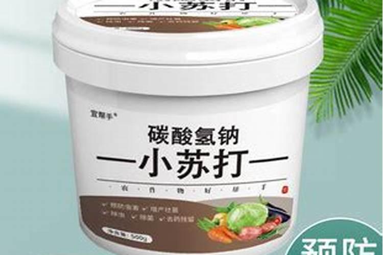 小苏打：防治花卉病害的绿色守护者