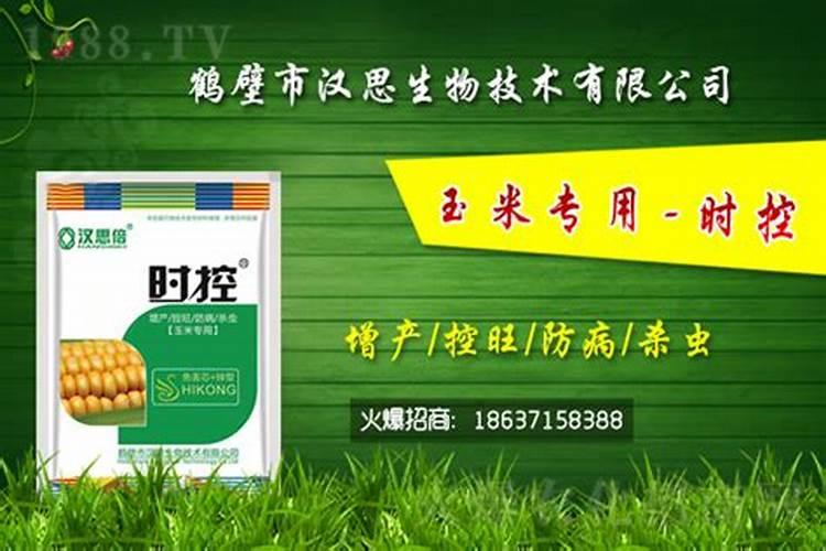 玉米控旺：药物选择与施药时机的科学指南
