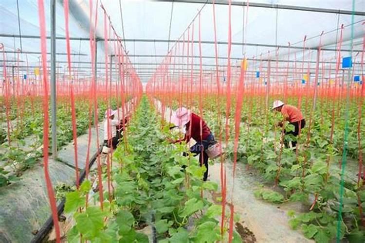 春季用药注意事项：确保健康与安全