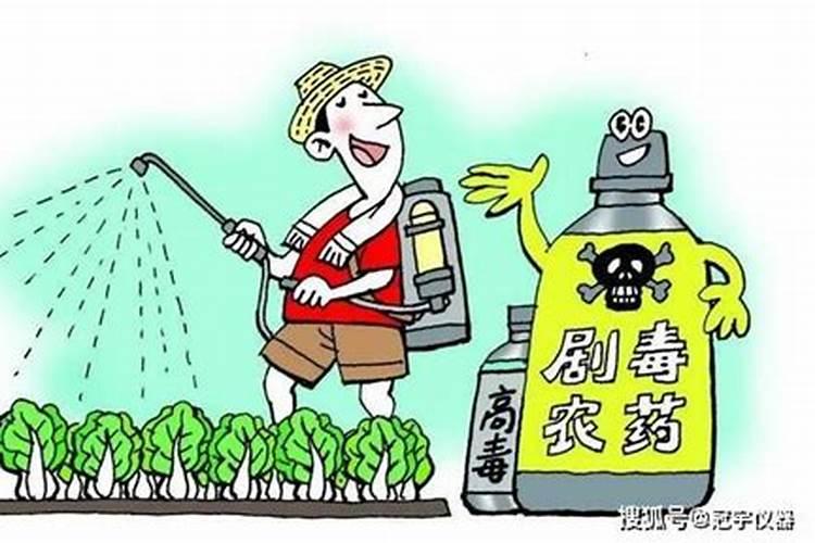 隐形杀手：农药残留危害的深度剖析