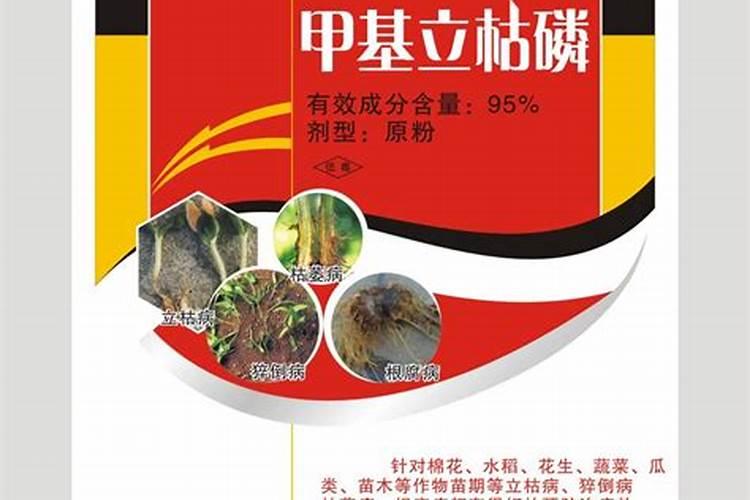 掌握科学施用：甲基立枯磷农药的正确使用方法？