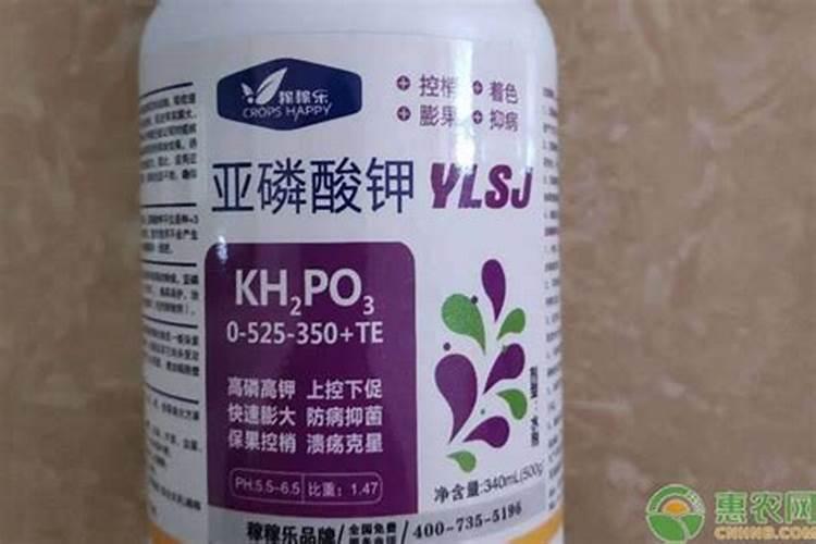 叶面肥都什么含量最多？