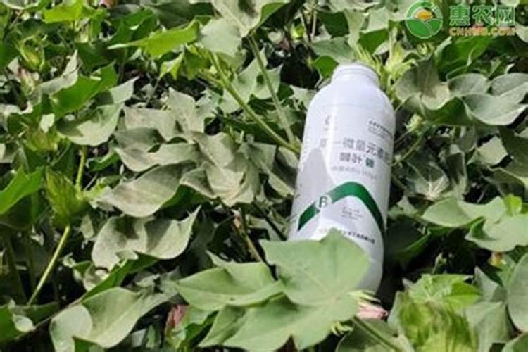 叶面肥都什么含量最多？