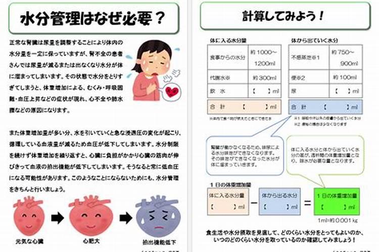 桉树怎么种才高产？桉树高产栽培技术规范