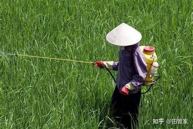 农田守护者的智慧：科学使用农药的五大要点