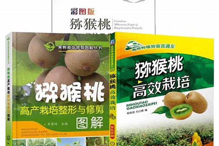 猕猴桃病虫害综合管理：策略与实践
