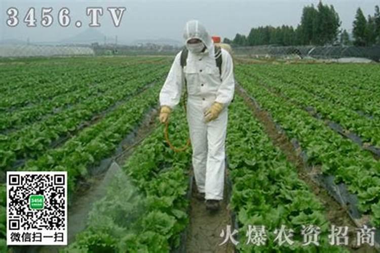 冬季农药保管秘籍：确保药效不打折