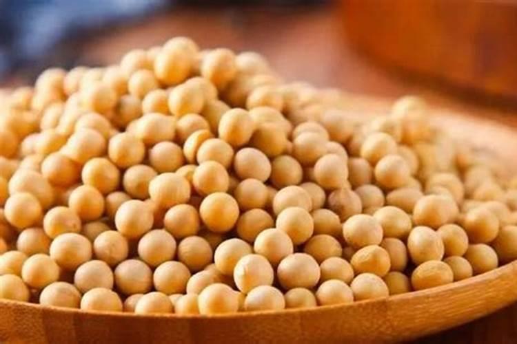 揭秘大豆生长的营养密码：全面了解大豆用肥要点