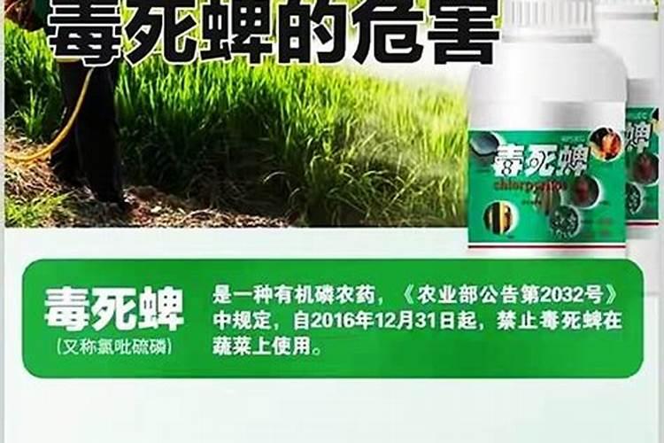 警惕潜伏之毒：农药毒死蜱对人类健康的威胁