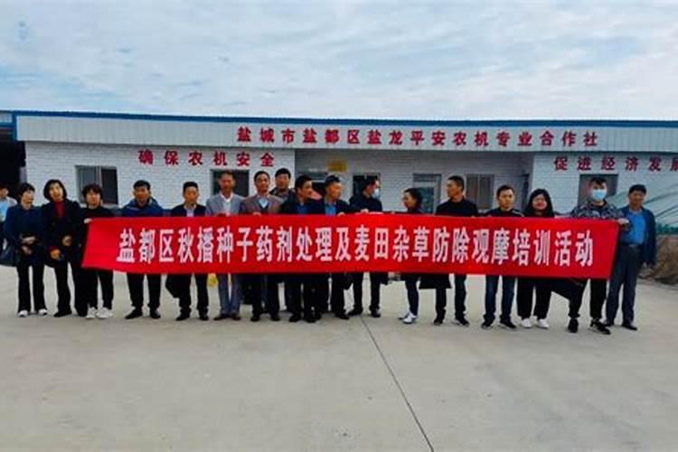 绿色守护：水稻种子药剂处理技术的创新与实践