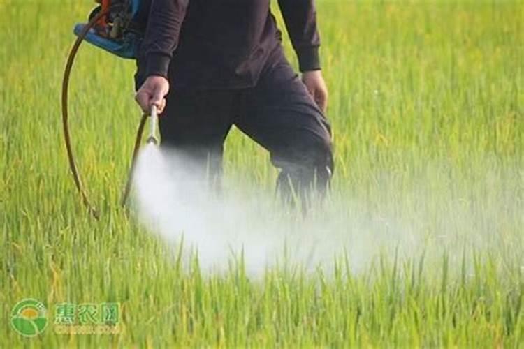 田间药效之谜：为何农药在实际应用中效果差异巨大？
