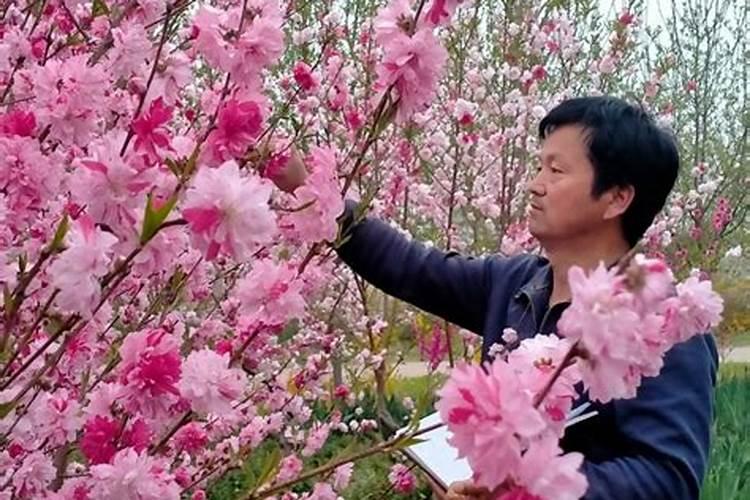 冬季花木修剪的艺术：掌握要点，迎接春季的绽放