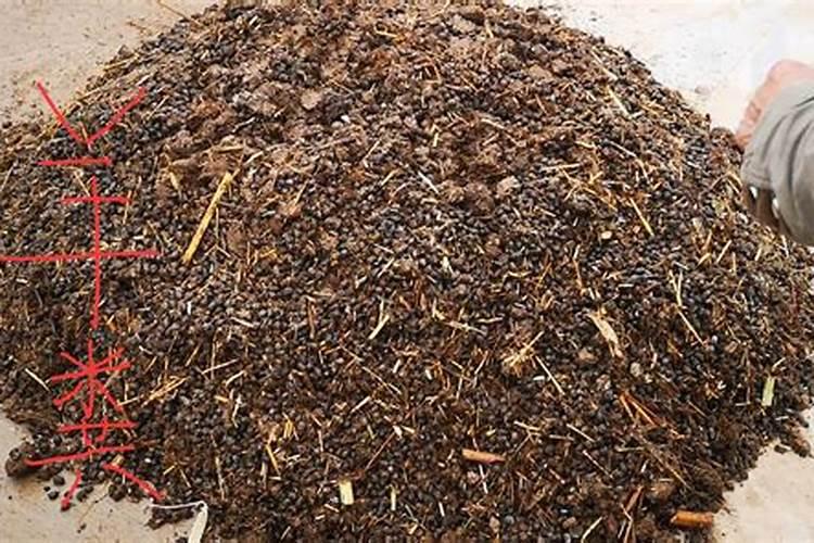 绿色农耕：探索无发酵剂羊粪施肥的天然之道