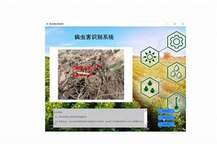 绿色守护：药用植物常见虫害防治的智慧之道