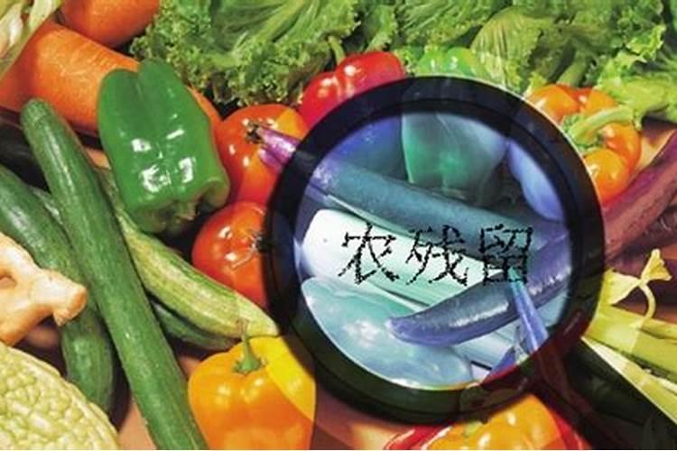 守护健康餐桌：有效去除蔬菜中的残留农药