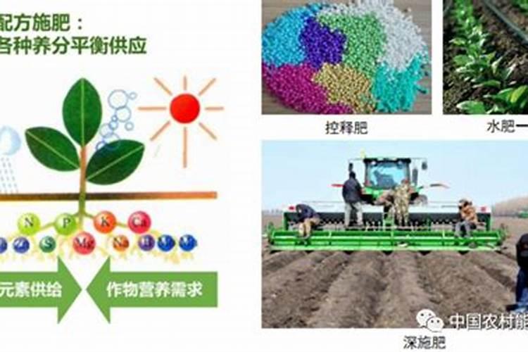 提高土肥抗旱技术