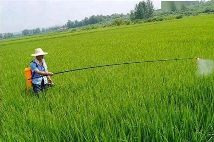 警惕隐形杀手：识别农药中毒的警讯