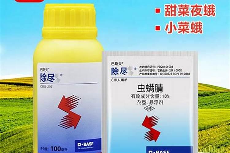 菜蛾用什么农药杀死？